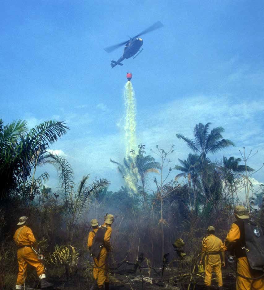 A helicopter flying over some trees and people